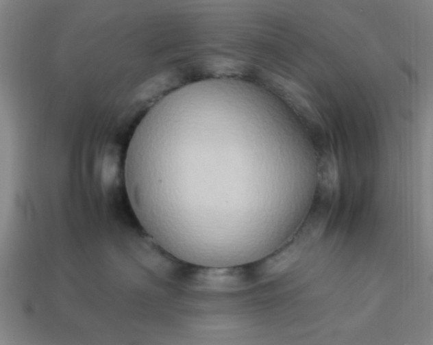 X0000113780622200910071225