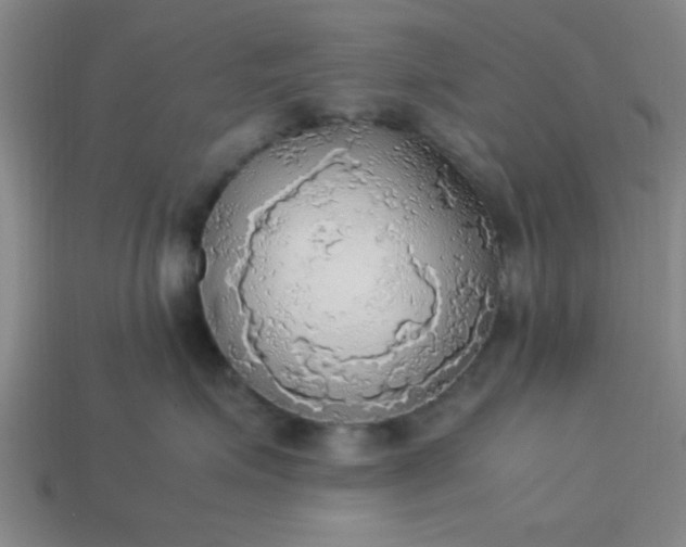 X0000113780623200910071225