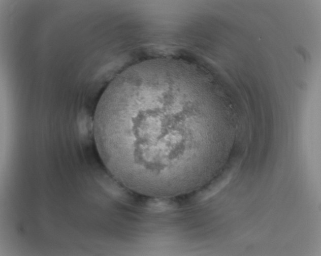 X0000113780624200910071225