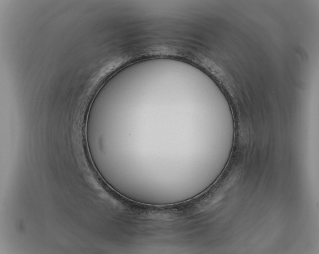 X0000113780625200910071224