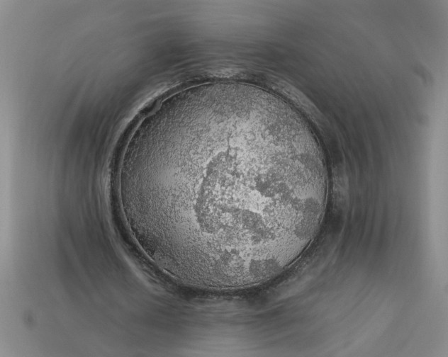 X0000113780626200910071224