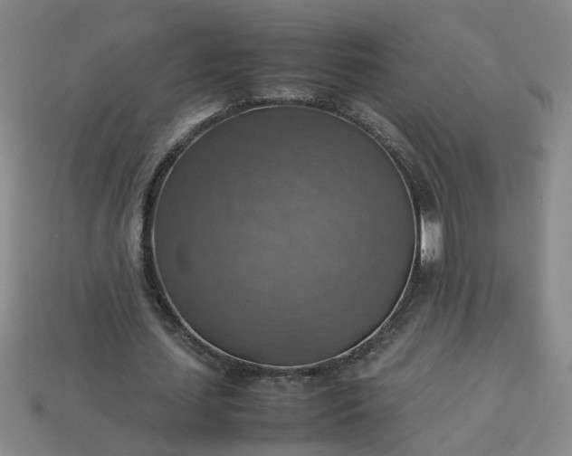 X0000113780627200910071224