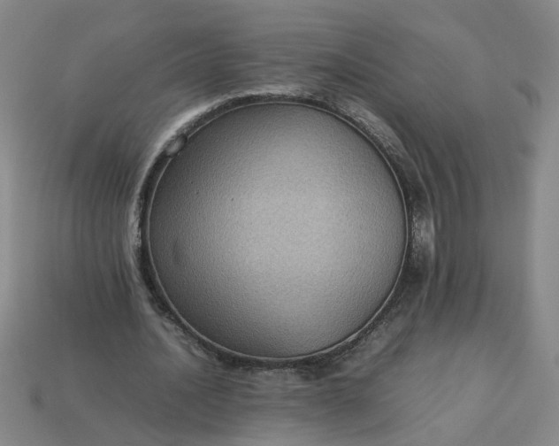 X0000113780628200910071224