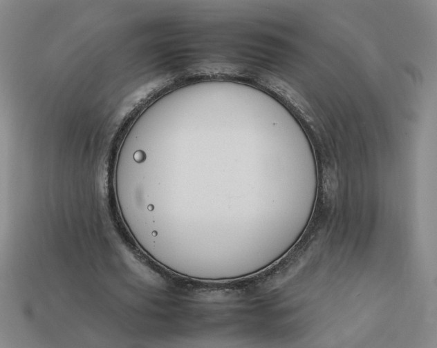 X0000113780629200910071224