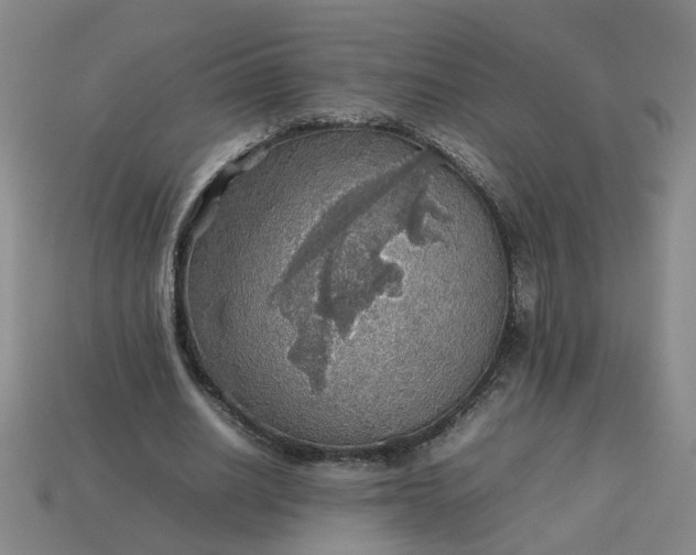 X0000113780630200910071224