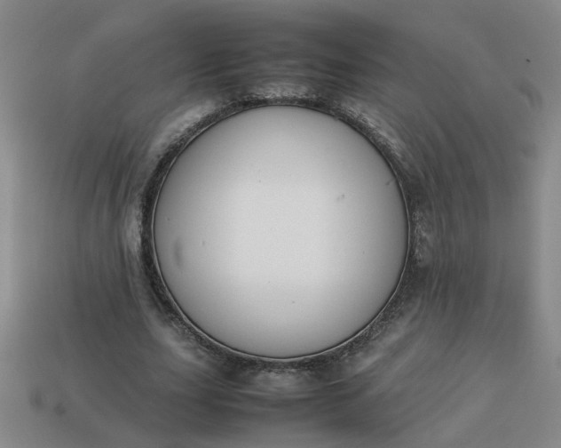 X0000113780631200910071224