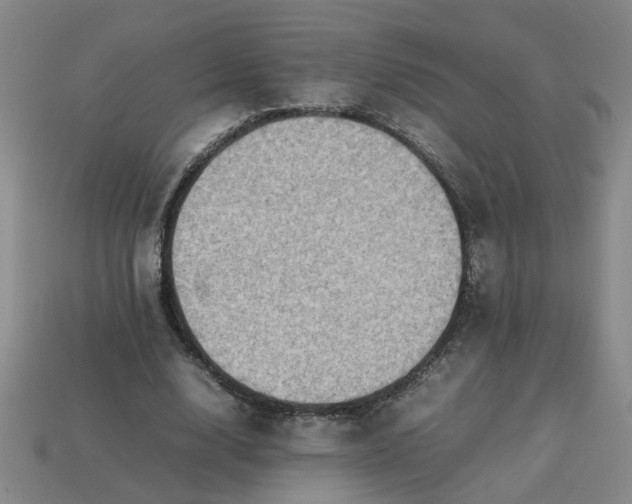 X0000113780632200910071224