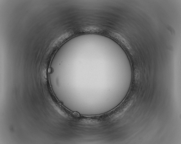 X0000113780633200910071224