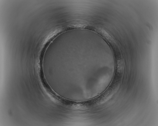 X0000113780634200910071224