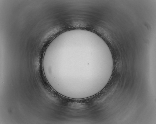 X0000113780635200910071224