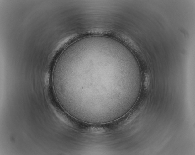 X0000113780636200910071224