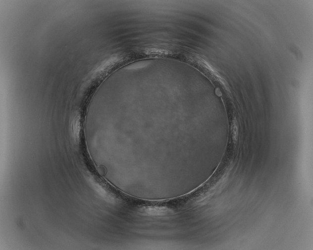 X0000113780637200910071224