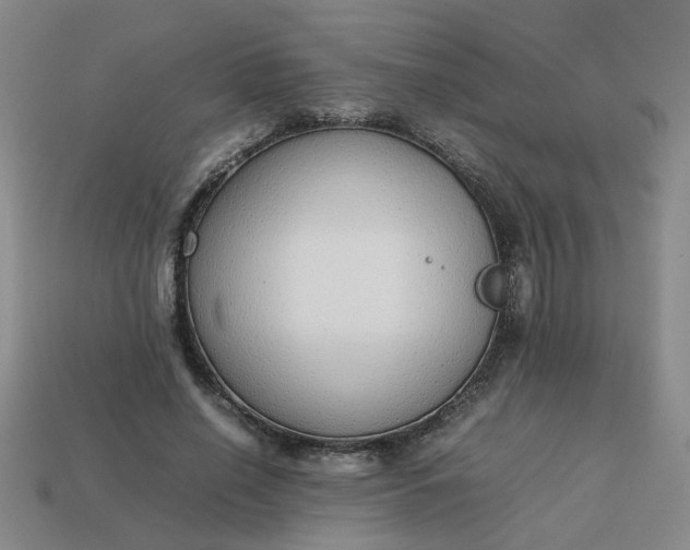 X0000113780638200910071224