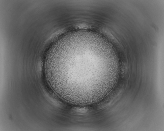 X0000113780639200910071225