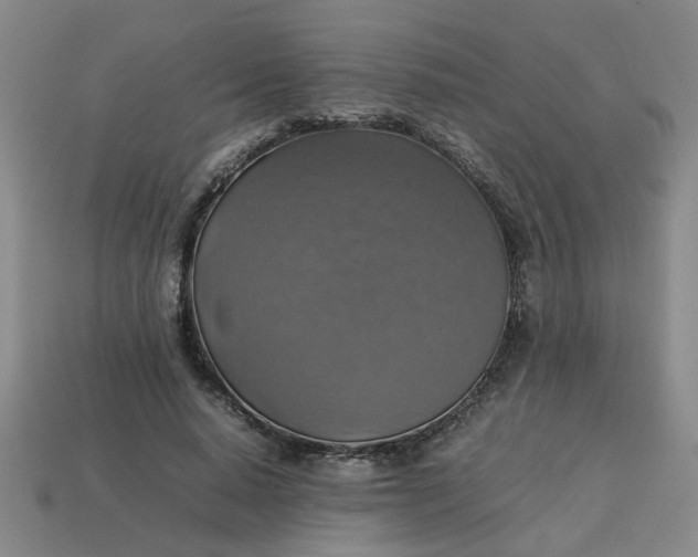 X0000113780640200910071225