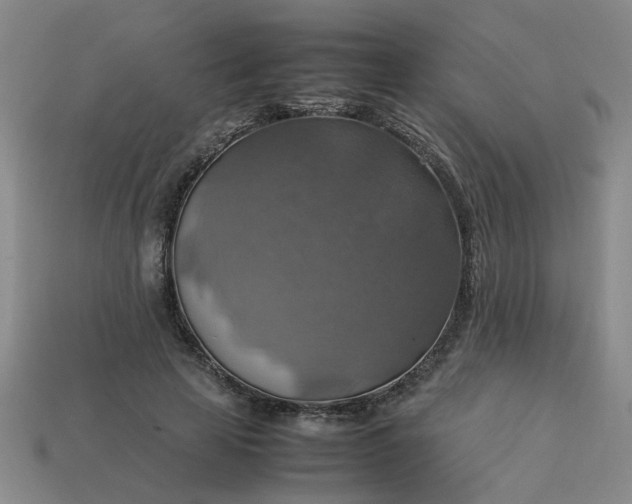 X0000113780641200910071225