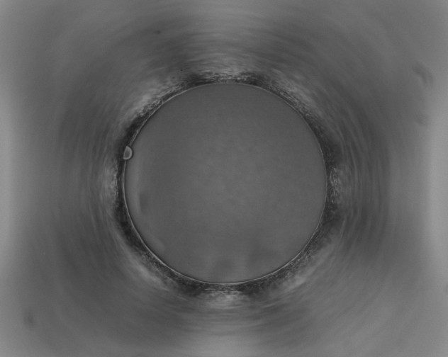 X0000113780642200910071225