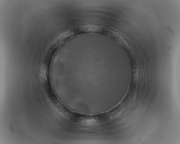 X0000113780643200910071225