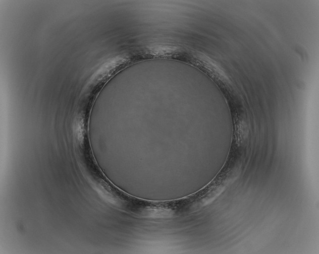 X0000113780644200910071225