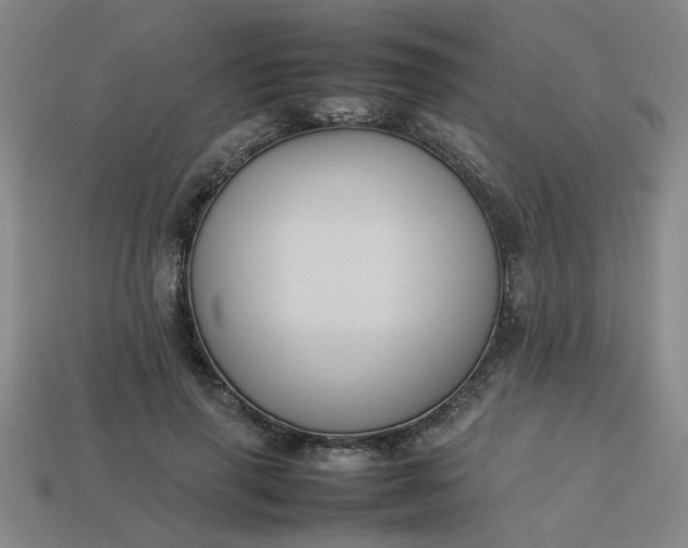 X0000113780645200910071225