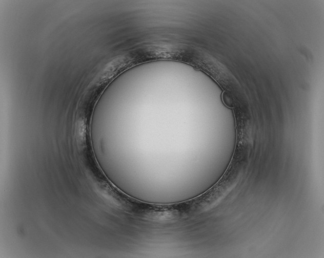 X0000113780646200910071225