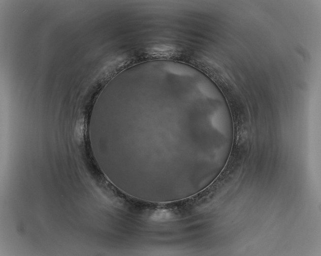 X0000113780647200910071225