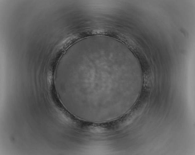 X0000113780648200910071225