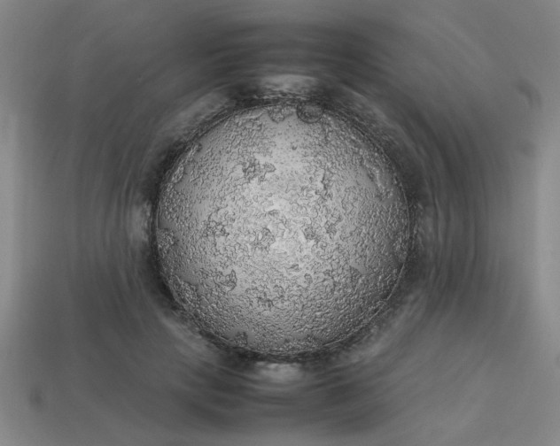 X0000113780649200910071225