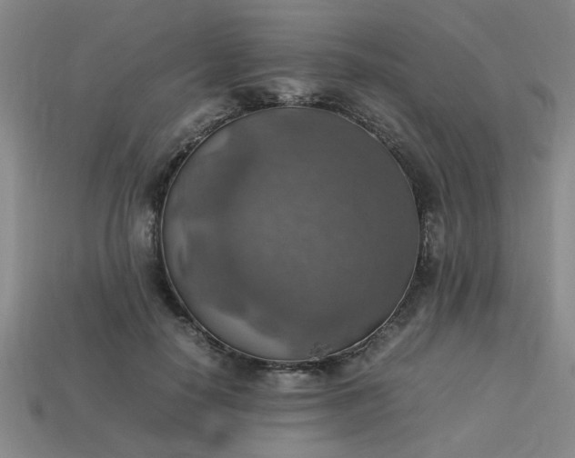 X0000113780650200910071225