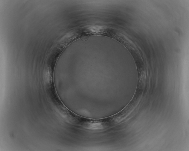 X0000113780651200910071225