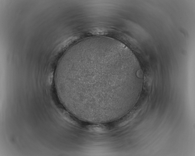 X0000113780652200910071225