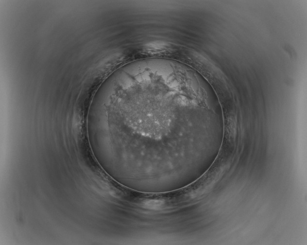 X0000113780653200910071225