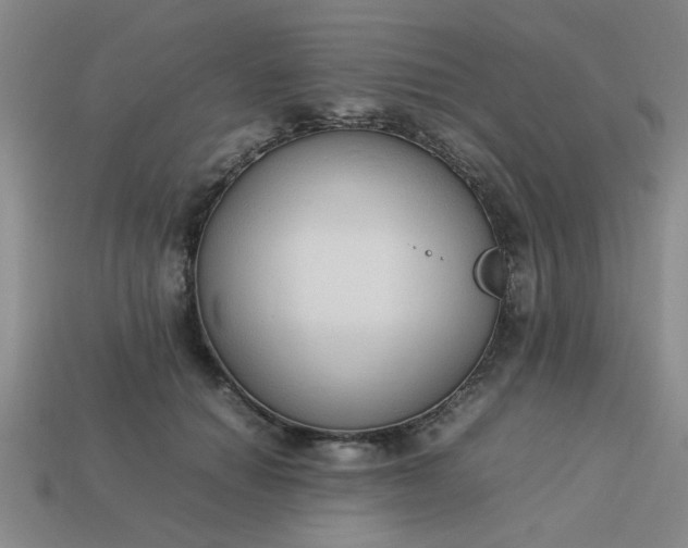 X0000113780654200910071225