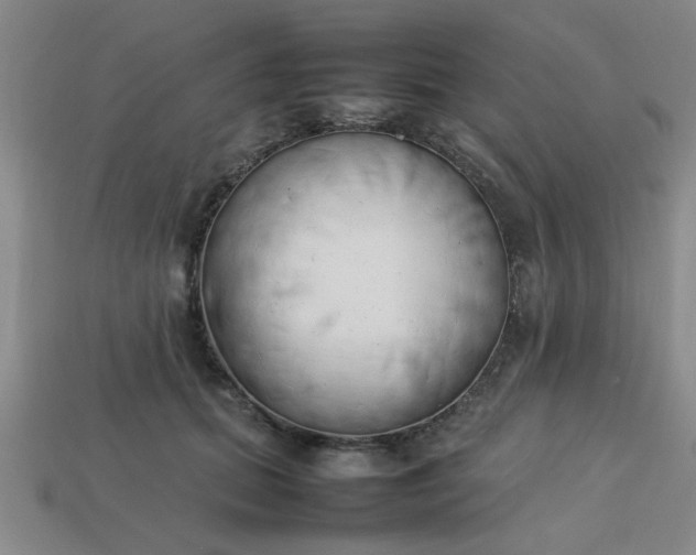 X0000113780655200910071225