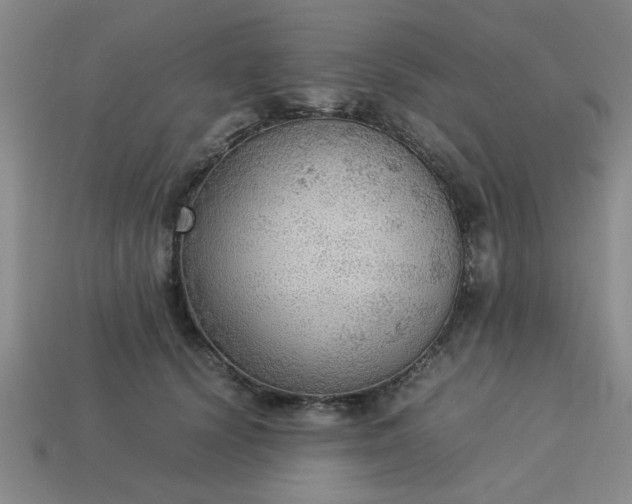 X0000113780656200910071225