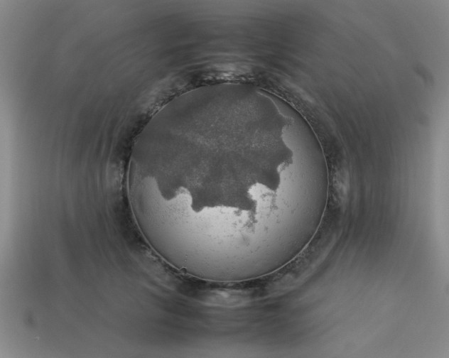 X0000113780657200910071225