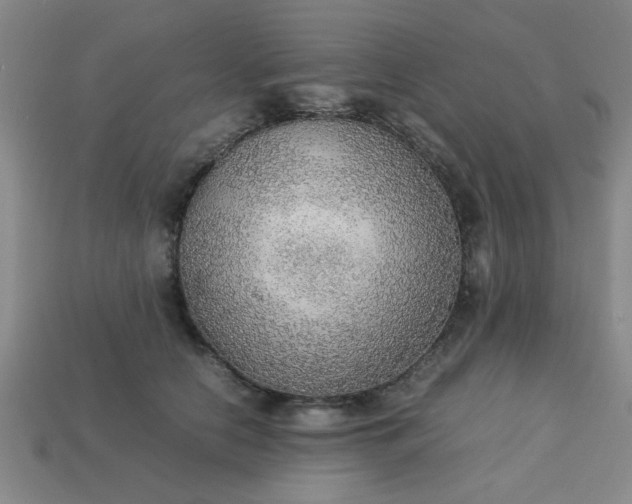 X0000113780658200910071225