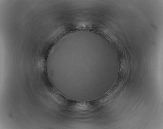 X0000113780659200910071225