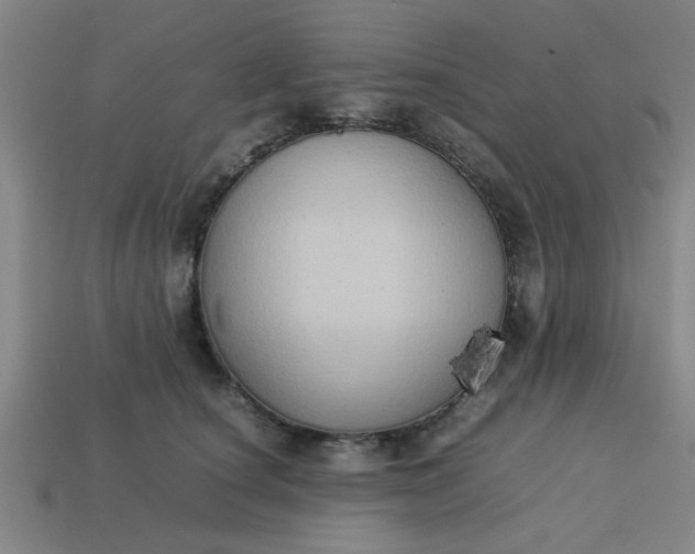 X0000113780660200910071225