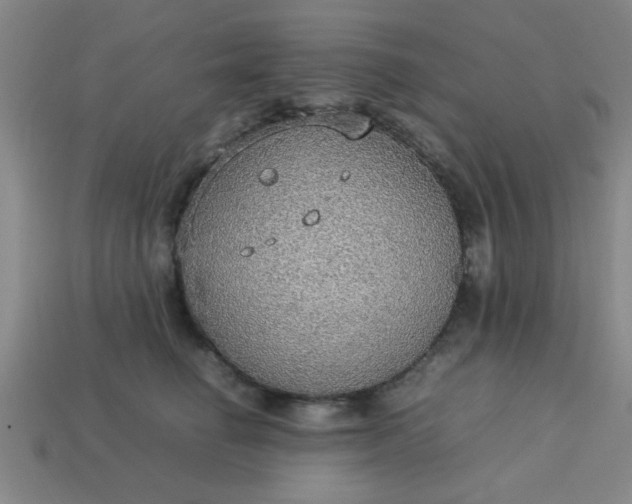 X0000113780662200910071225