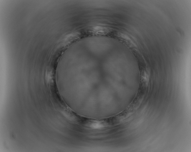 X0000113780663200910071225