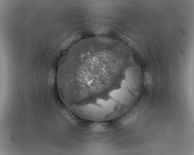 X0000113780664200910071225