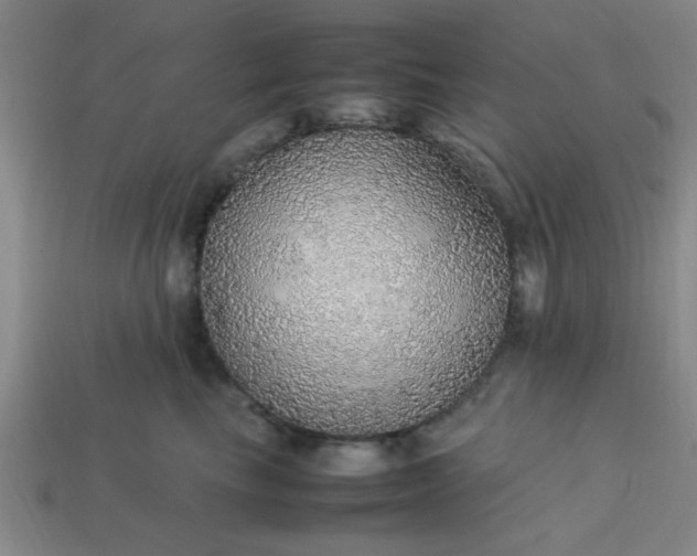 X0000113780665200910071225