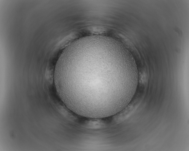 X0000113780666200910071225