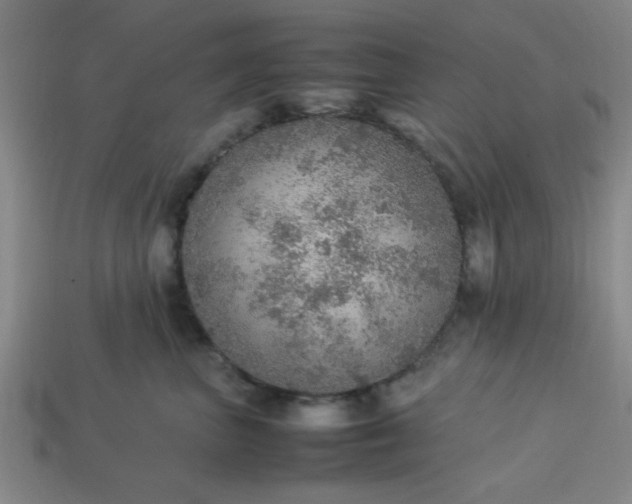 X0000113780667200910071225