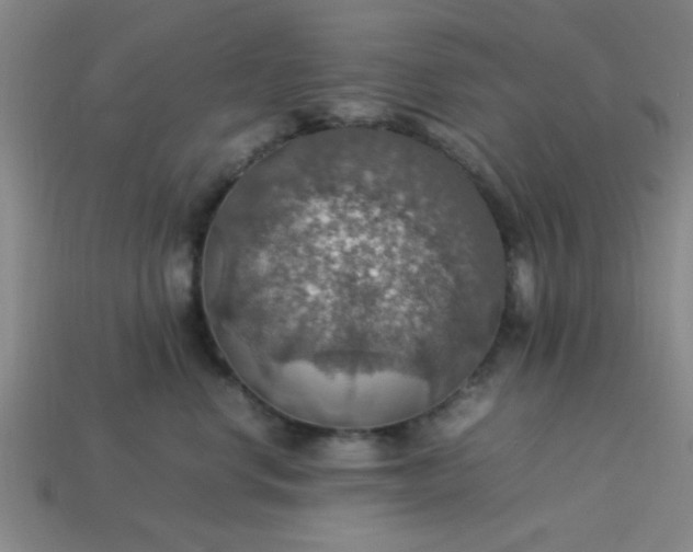 X0000113780668200910071225