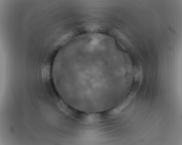 X0000113780670200910071225