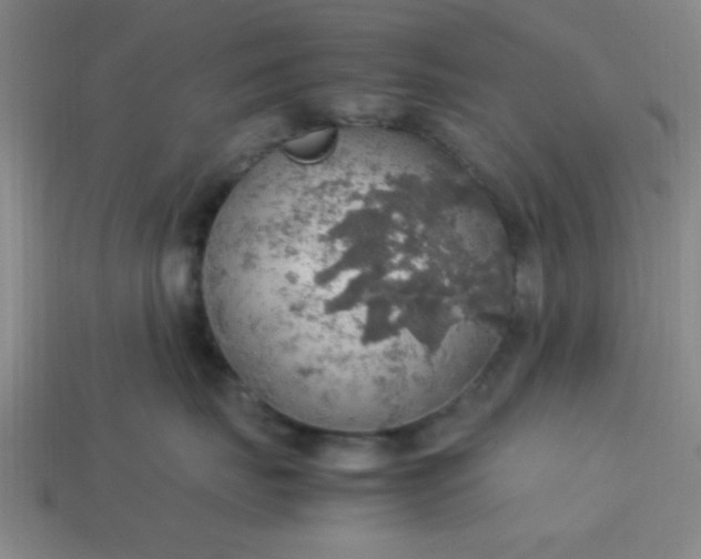 X0000113780671200910071225