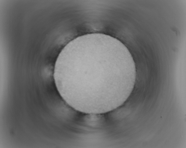 X0000113780672200910071225