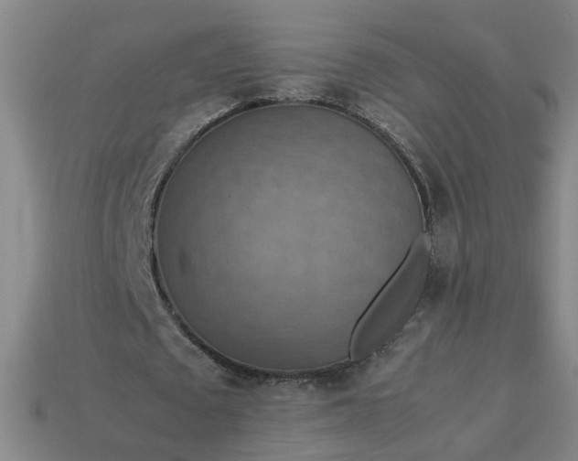 X0000113780673200910071224